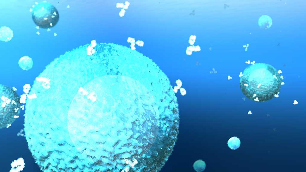 B細胞が抗体を放出している様子